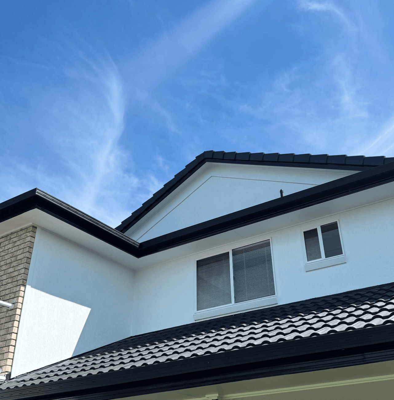 Exterior Wall Painting after